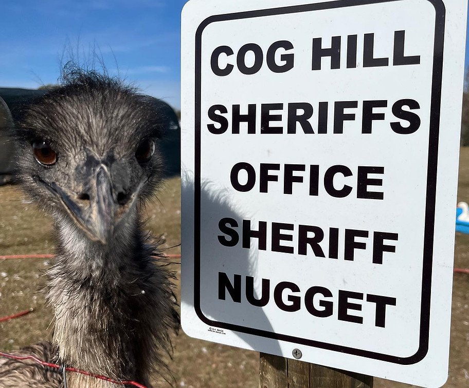 Sheriff Nugget beside the Cog Hill Sheriffs Office sign